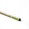 Eco stick: олівець з насінням "Цибуля"