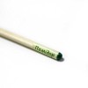 Eco stick: карандаш с семенами "Помидор"