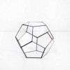 Флорариума "Dodecahedron"