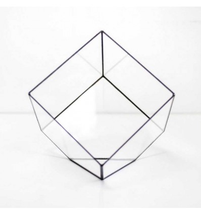 Флорариума "Cube"