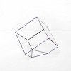Флораріум "Cube"