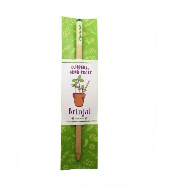 Eco stick Brinjal: карандаш с семенами Руккола