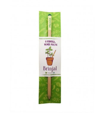 Eco stick Brinjal: олівець з насінням Меліса