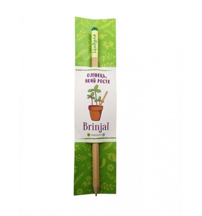 Eco stick: олівець з насінням "Цибуля"