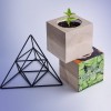 Набір для вирощування Flora Cube Меліса