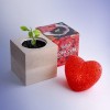 Набір для вирощування Flora Cube Перець Хабанеро