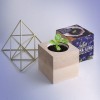 Набор для выращивания Flora Cube Фиалка