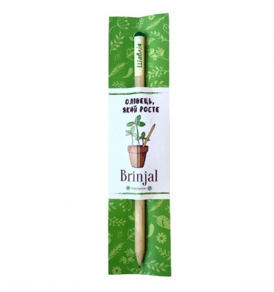 Eco stick Brinjal: олівець з насінням Шавлія