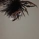 14646 фото 2