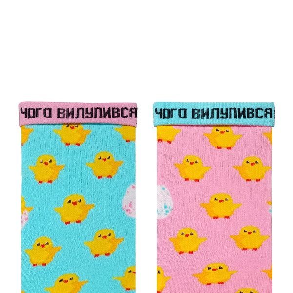 Шкарпетки Ded noskar Курчата кольорові - 36-40 15756 фото
