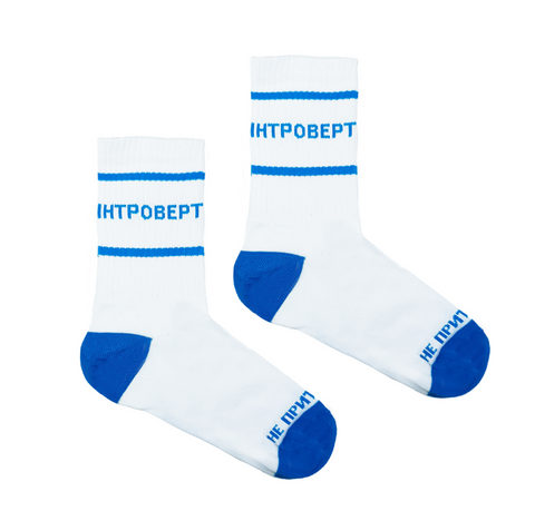 Шкарпетки Dobro Socks Інтроверт - 36-40 18037 фото